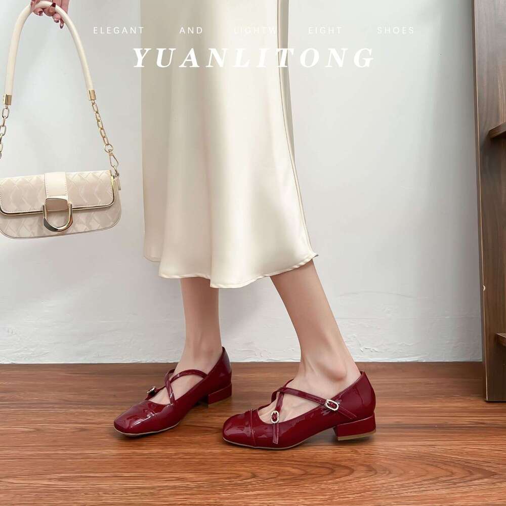 2025 Spring New French Style Shallow Mouth Single for Women, Chunky Heel, Comfortable Cross Strap, Round Toe Mary Jane Shoes