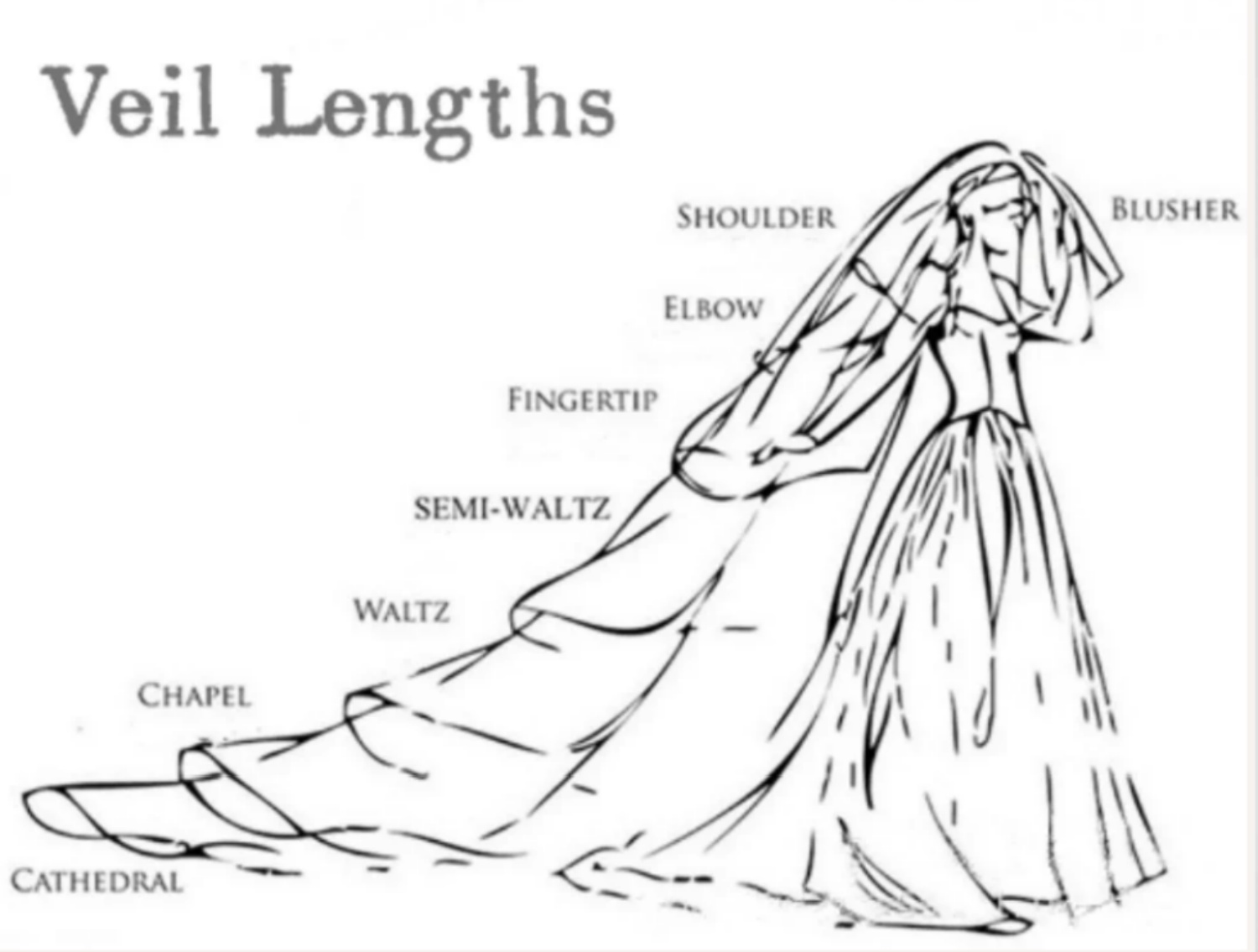 White Ivory Bridal Veil Wedding Veils 3D Flowers Lace Petals Veil Long Cathedral Bride Wedding Accessories