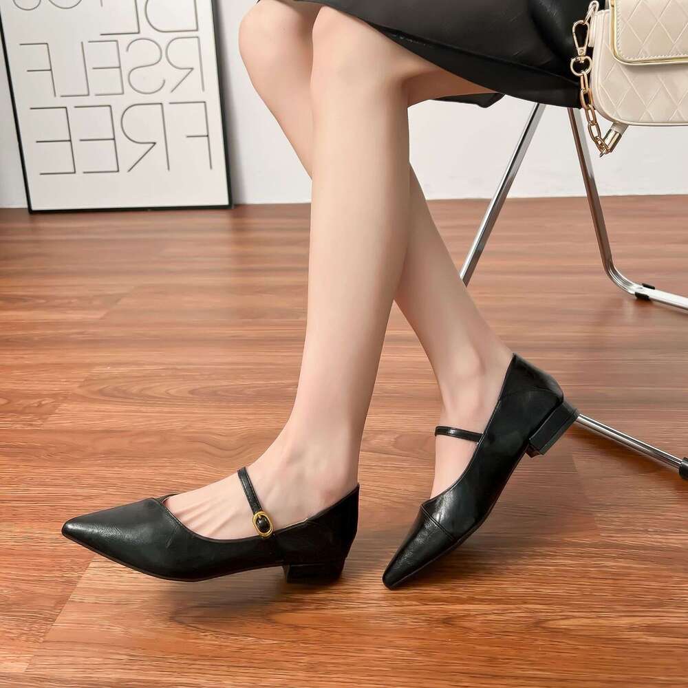 Designer Spring New High Heels 2025 French Pointed Toe Single for Women Outdoor Wear High-end Shoes