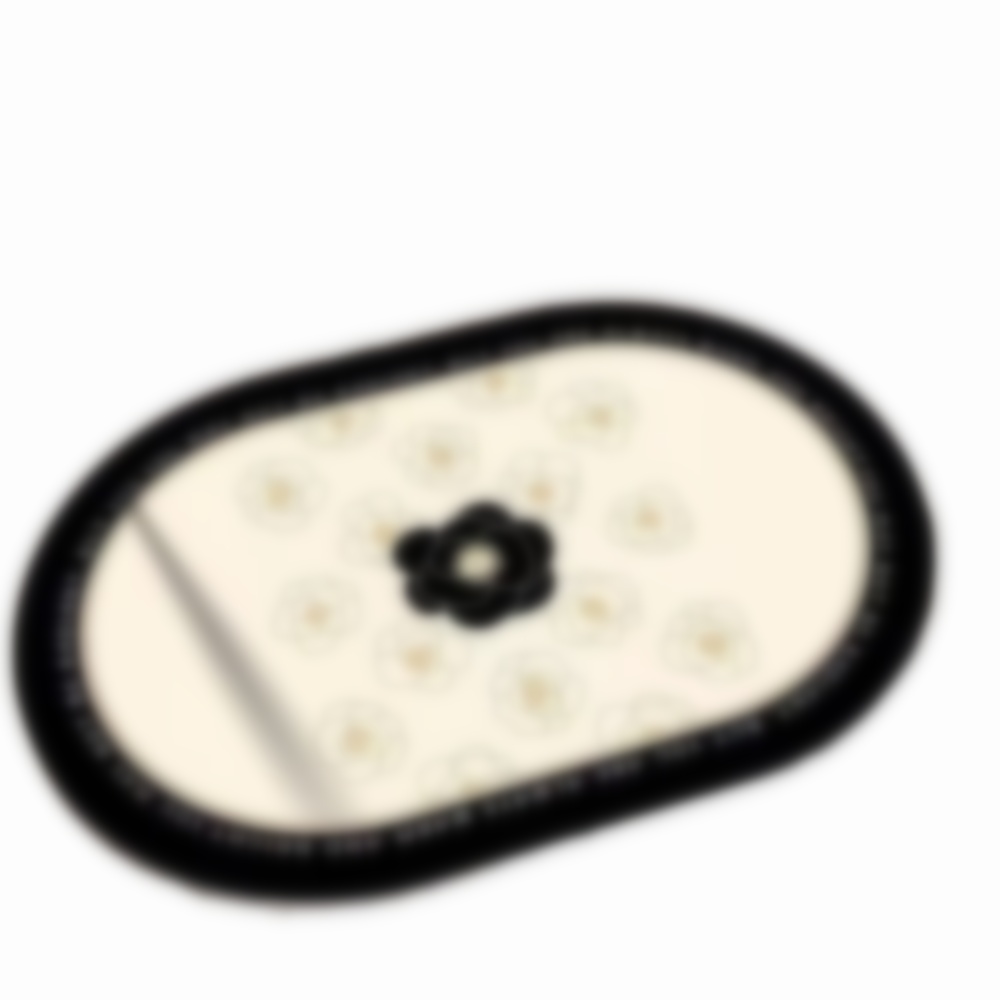 Designer carpet bathroom mat diatom mud non - slip toilet mat household bathroom entrance water - absorbing and dirt - resistant foot mat