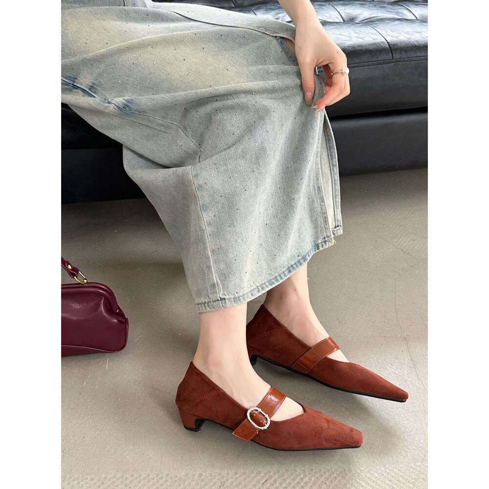 French Style Women's Thick Heel High-End Feel 2025 Spring New High Heels Niche Belt Buckle Shoes for Women