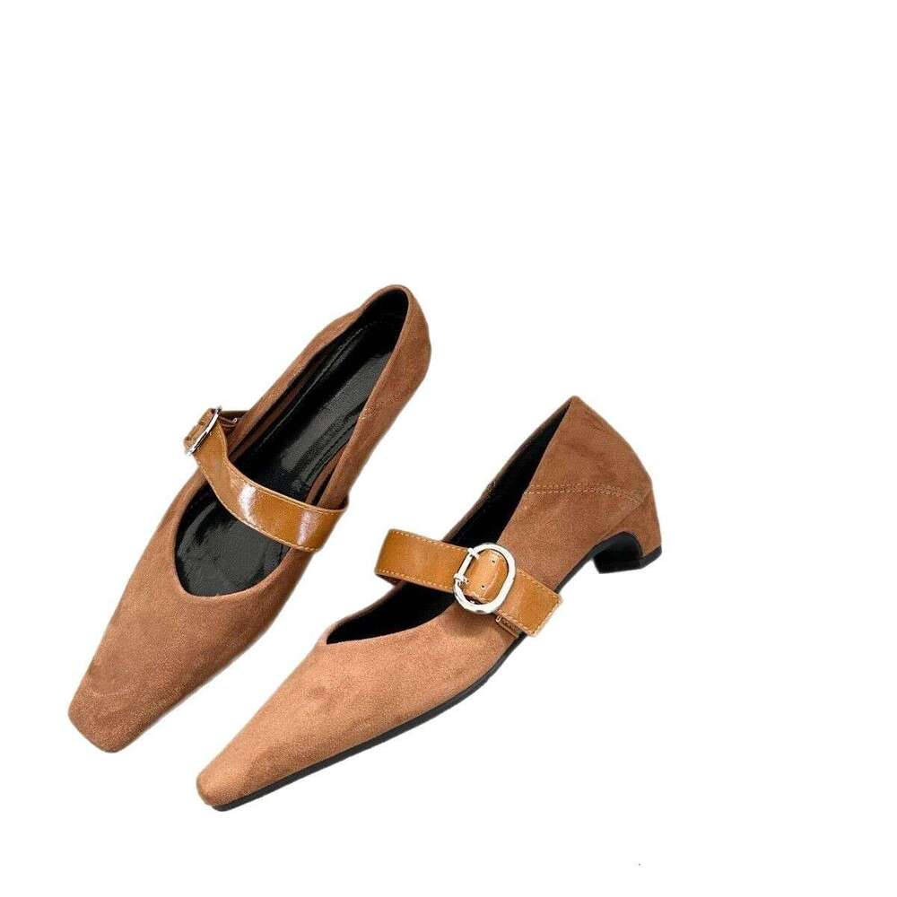 French Style Women's Thick Heel High-End Feel 2025 Spring New High Heels Niche Belt Buckle Shoes for Women