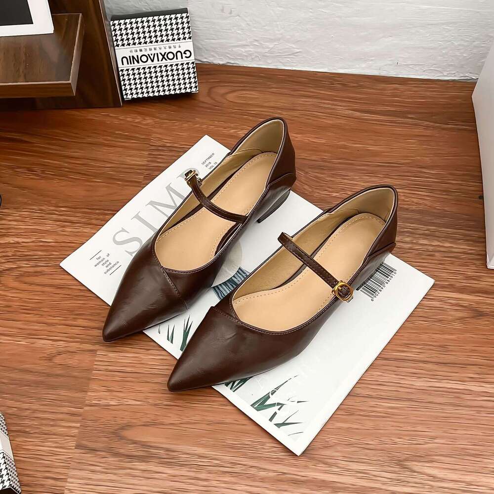 Designer Spring New High Heels 2025 French Pointed Toe Single for Women Outdoor Wear High-end Shoes