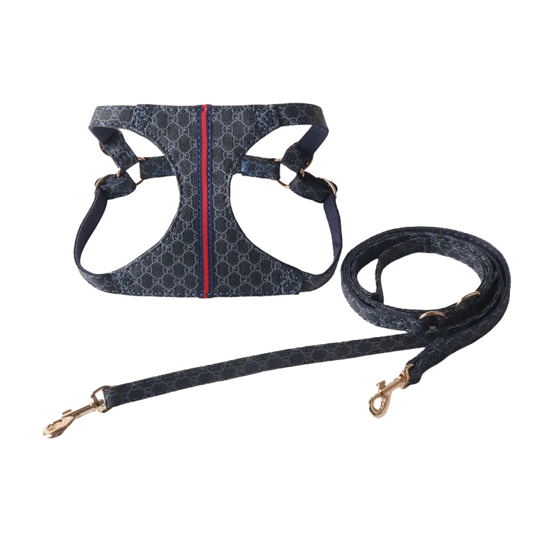 No Pull Dog Harness with Multifunction Dog Leash, Fashion Print, Suede Lining, Soft Adjustable No Choke Escape Proof Pet Harness Vest for Extra Small 