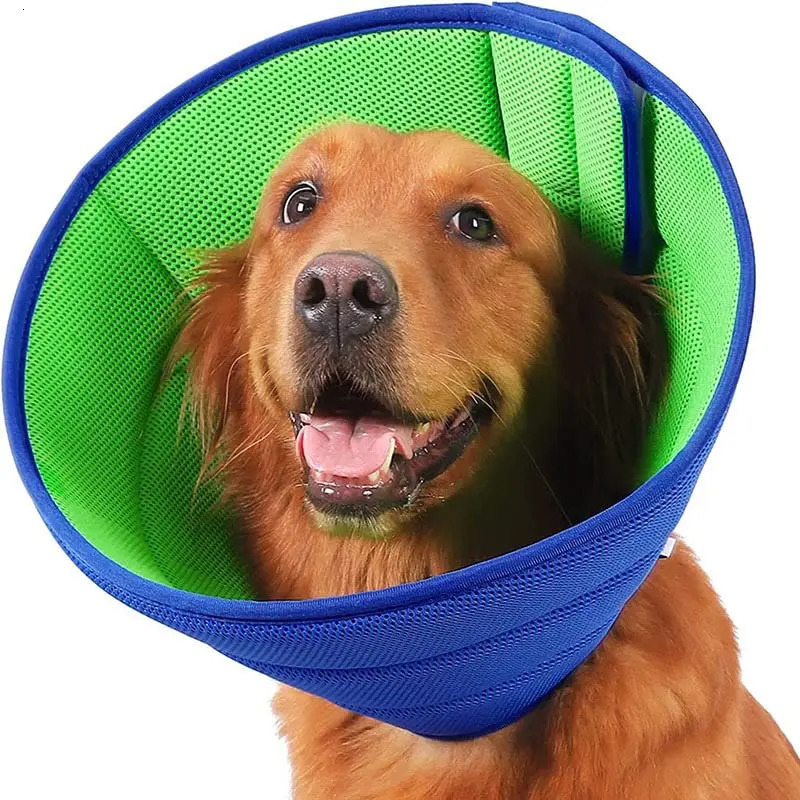 Elizabeth Collar Pet Protective Collar Postoperative Shame Circle Color Matching Dog Cone Protective Cover 250716