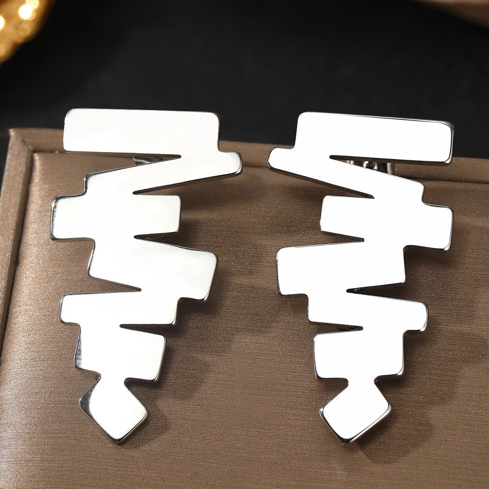 Stainless Steel Earring Vintage Versatile Irregular Delicate Earrings High Quality Personality n For Women Jewelry 250715