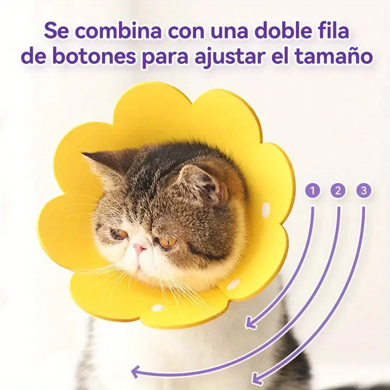 Pet Protective Collar Dog Neck Cone Recovery Cone Collar for Anti-Bite Lick Surgery Wound Healing Cat Dogs Health Circle 250731ww