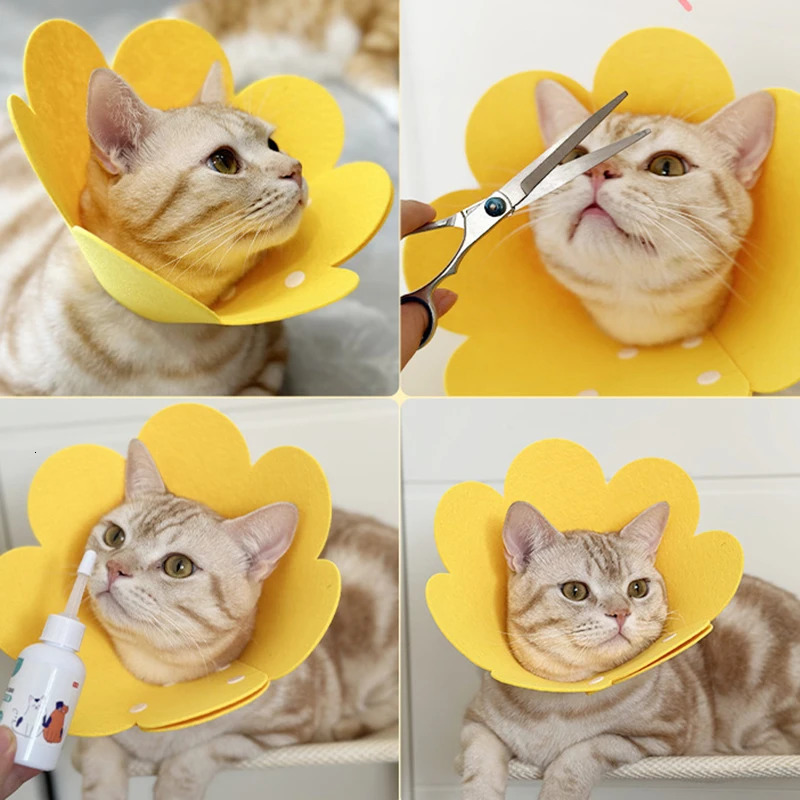 Pet Protective Collar Dog Neck Cone Recovery Cone Collar for Anti-Bite Lick Surgery Wound Healing Cat Dogs Health Circle 250731