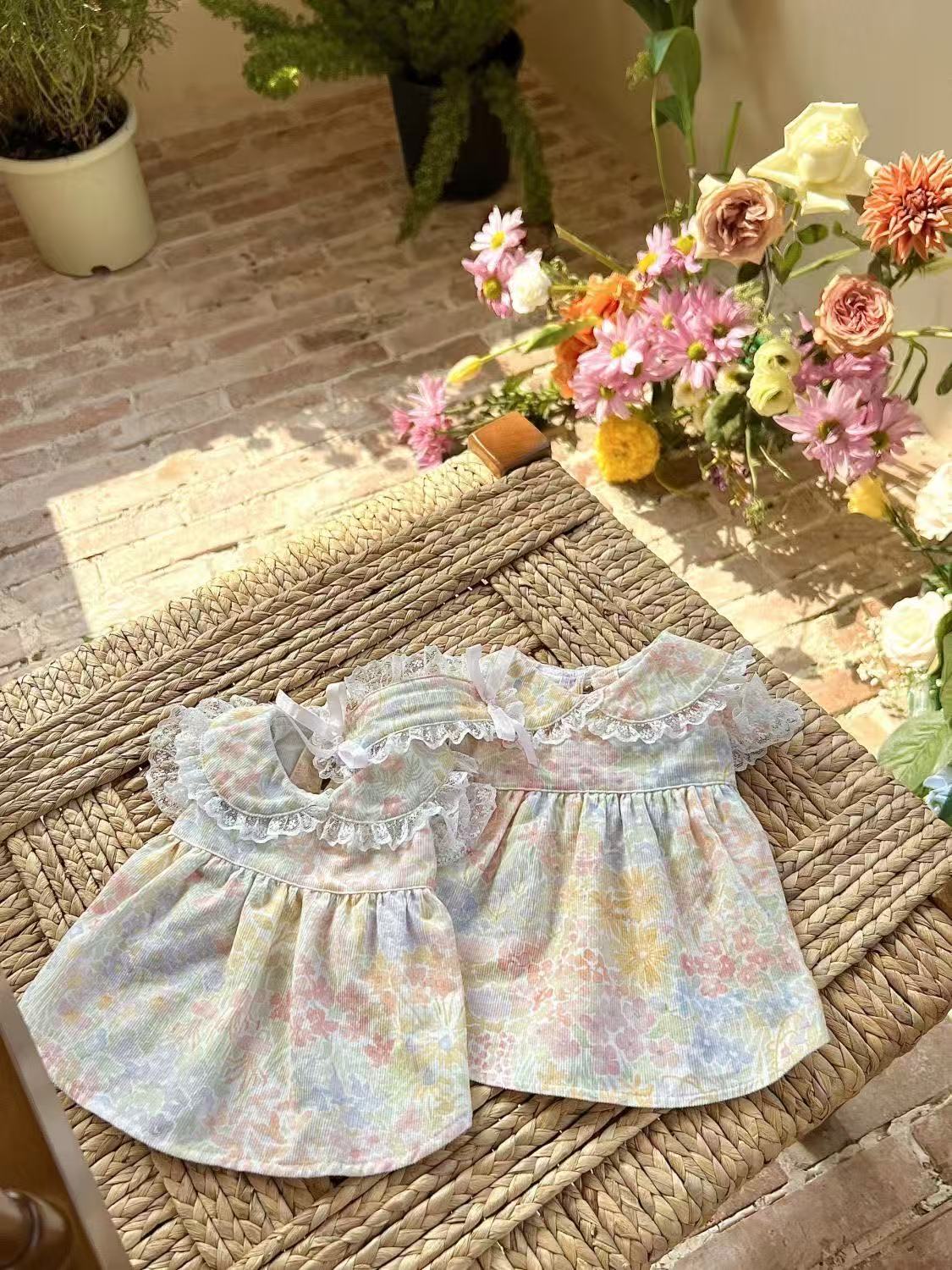 T809 Spring and summer dog cat princess dress doll collar lace skirt Western style small fragrance style skirt pet cute lady lace