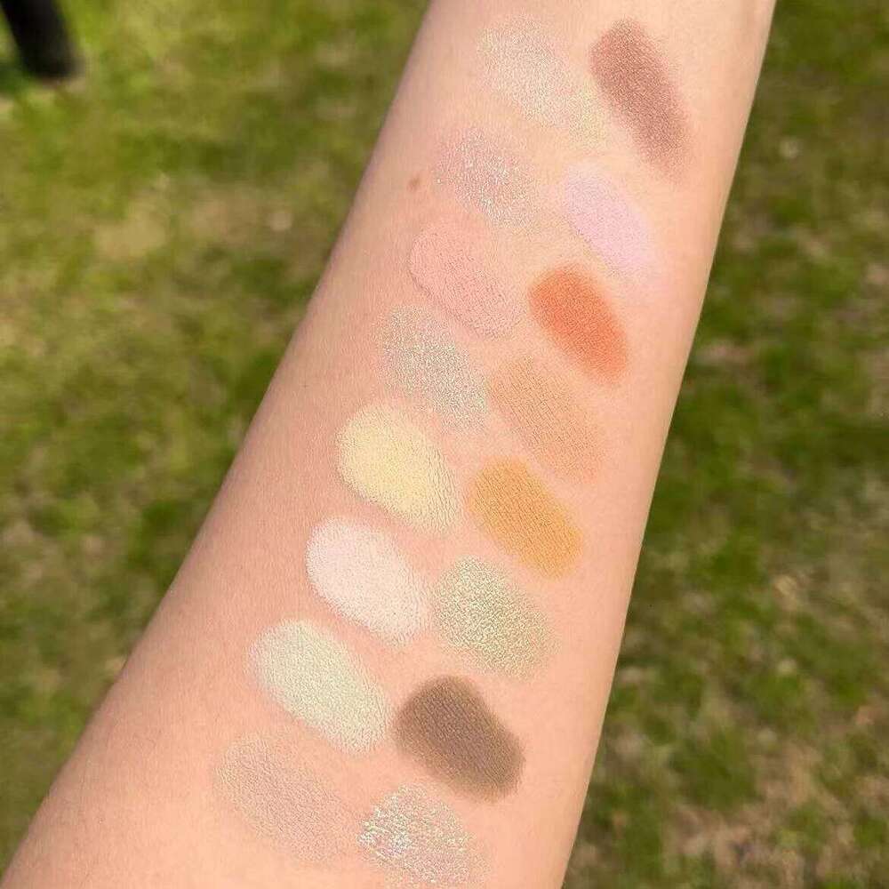 16Color Eyeshadow Glitter Chamelon Matte Pearlescent Shadow Palette Sequins Green Pink Sparkling Halloween Eye Makeup X250723 X250724