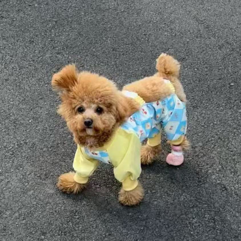 T801 Pet clothes spring and summer new streamer yarn princess dress Teddy Bichon dog cat thin sun protection traction dress