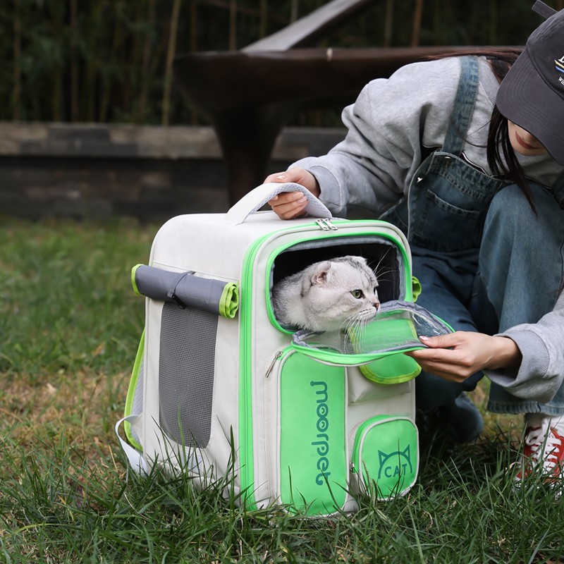 Cat Carriers Dog Carrier Pet Carrier For Small Medium Cats Dogs Puppies, Collapsible Waterproof Travel Puppy Carrier