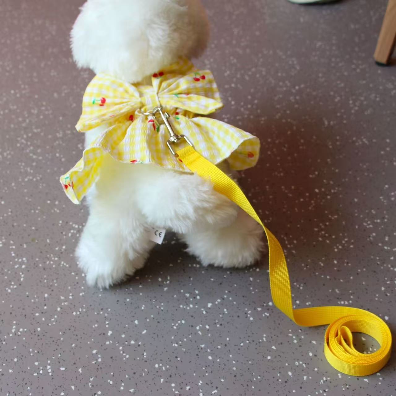 T807 Pet cats and dogs cherry princess style thin skirt, traction rope Teddy Bichon small dog outdoor clothes