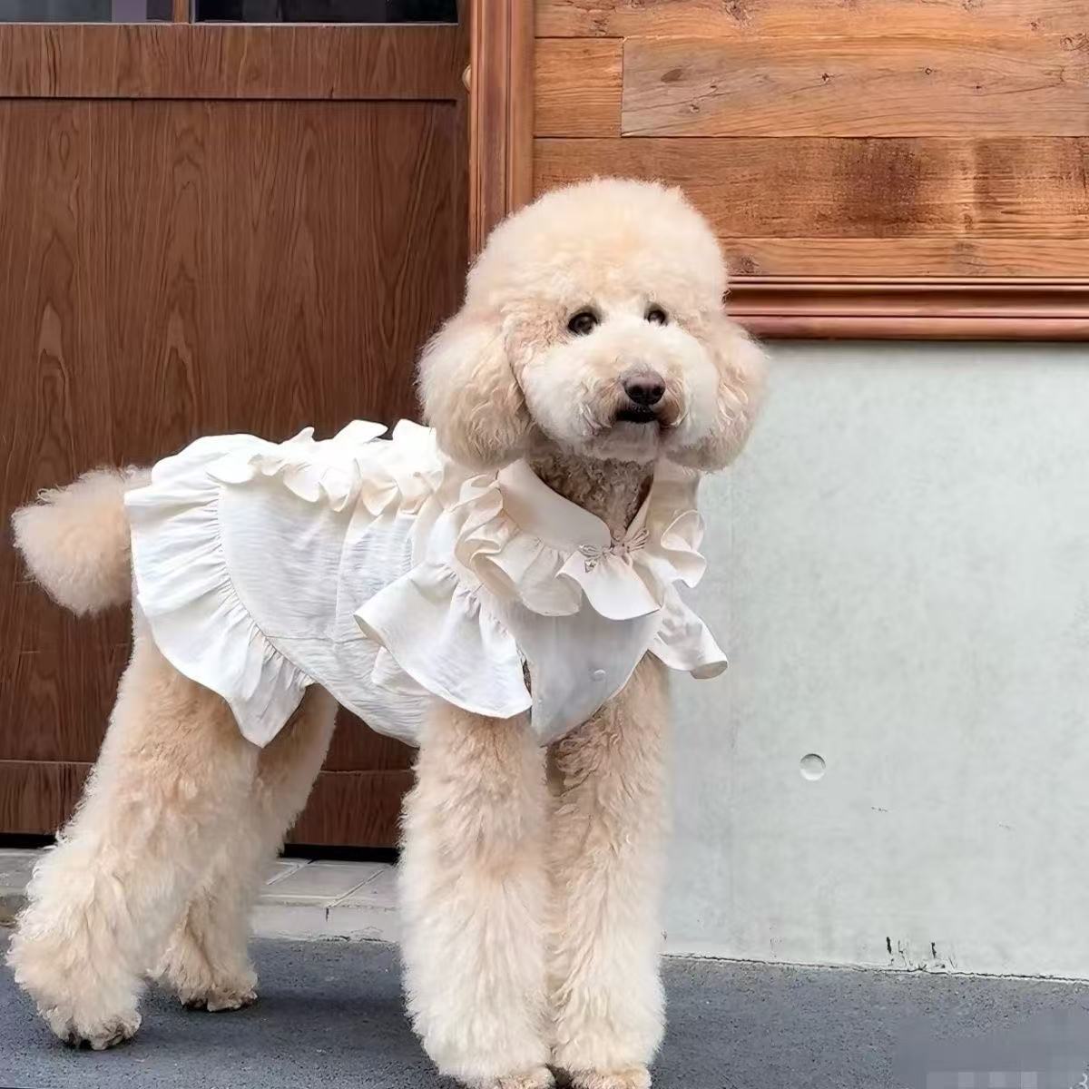 T802 Pet clothes spring and summer new streamer yarn princess dress Teddy Bichon dog cat thin sun protection traction dress