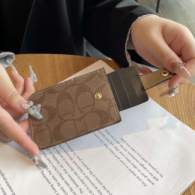 Exquisite New Model, Ins Style, Internet Celebrity, Anti-Demagnetization, Niche High-End Feel, Women's Card Holder