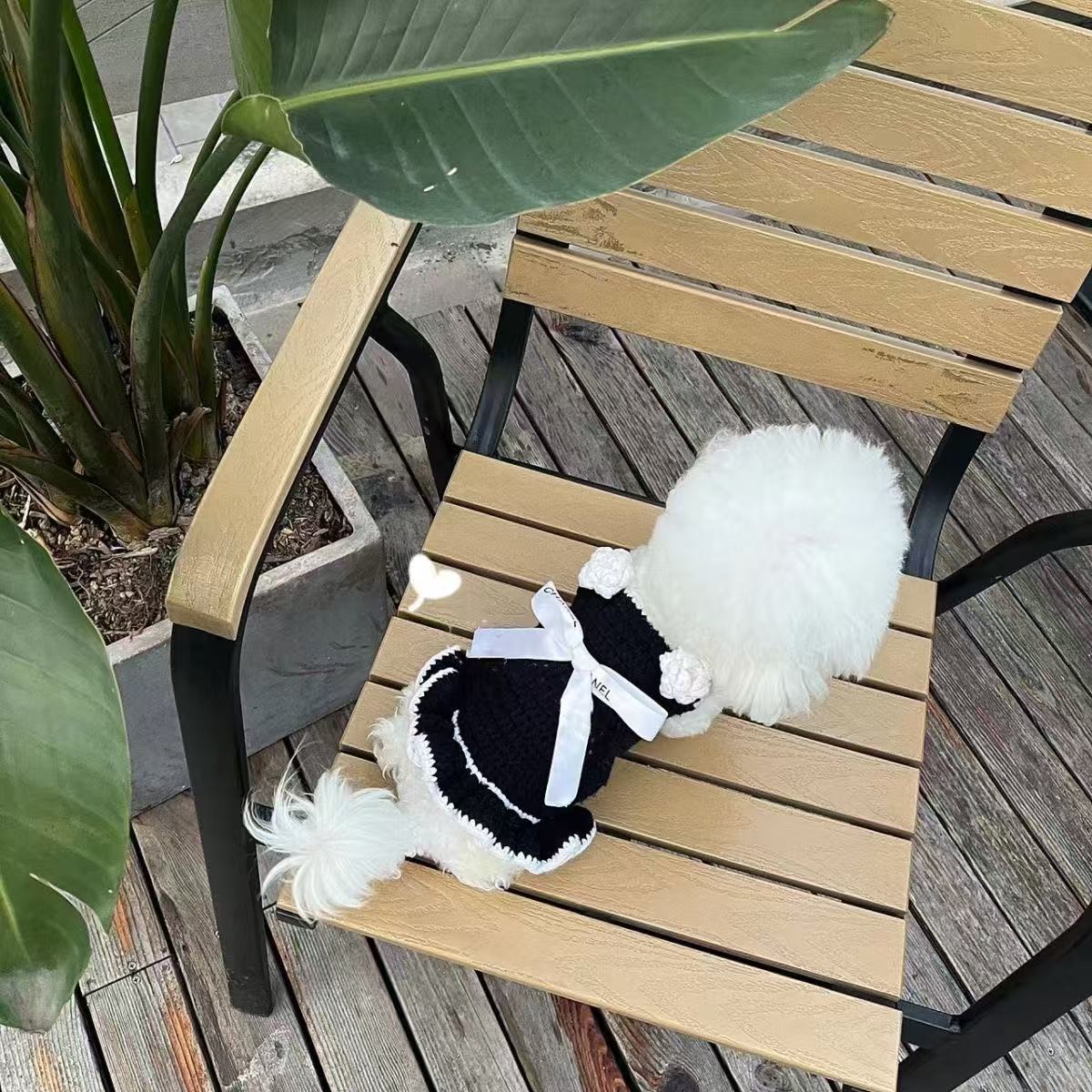 T811 Dog Clothes Autumn and Winter Sweater Cute Bow Pet Sweater Princess Dress Yorkshire