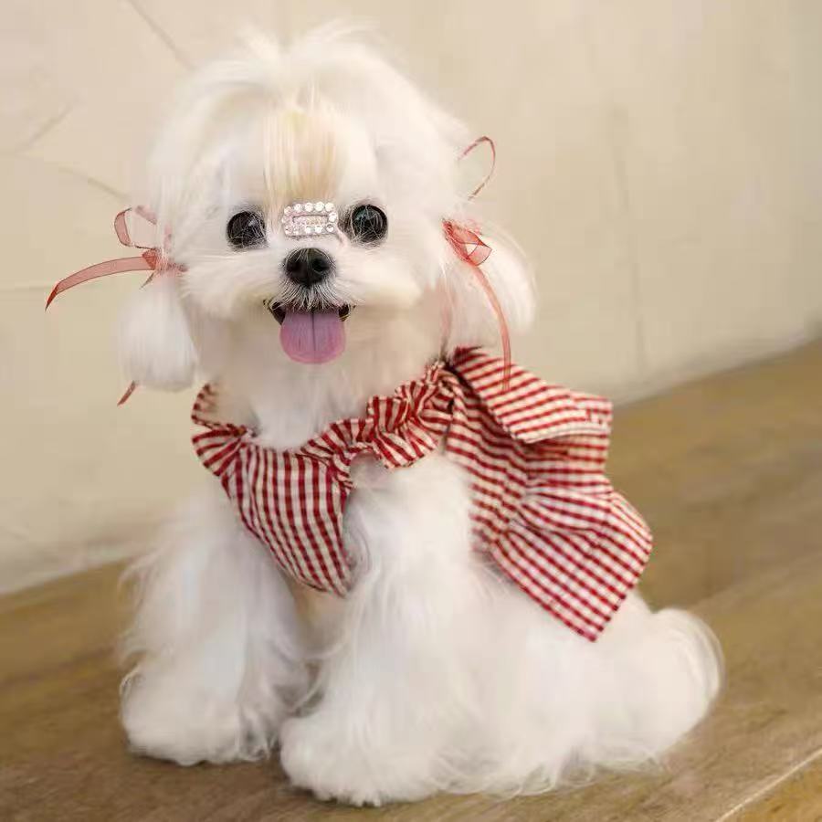 T812 Dog Skirt Spring and Summer Valentine's Day Love Super Cute Mini Skirt Yorkshire Maltese Bichon Pomeranian Clothes
