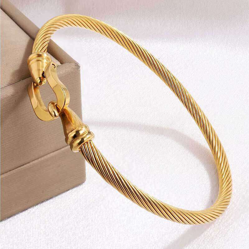Stainless for Women High-End Feel Non-Fading Elastic Open Titanium Steel Bracelet with Horseshoe Hook ddmypluto