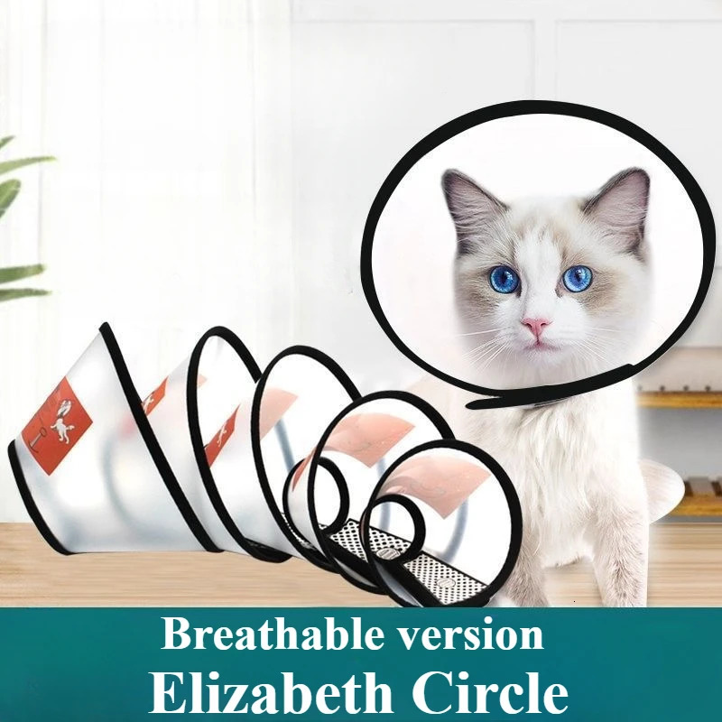 Elizabeth Circle Pet Protective Cover Cat and Dog Beauty Cover Anti Bite Ring Pet Collar Cat and Dog Collar Kitten Accessories 250731