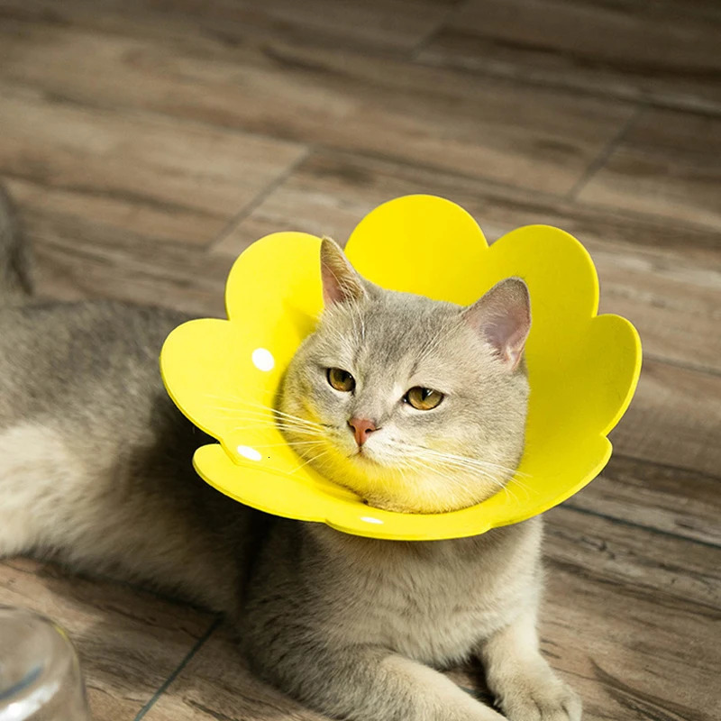 Cute Flower Shaped Cat Recovery Collars Adjustable Elizabethan Collars Puppy Kitten Anti-bite Healing Protective Collars 250716