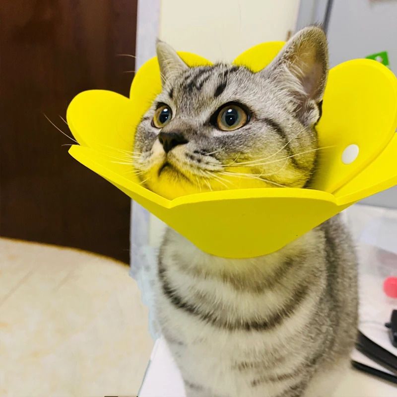 Cute Flower Shaped Cat Recovery Collars Adjustable Elizabethan Collars Puppy Kitten Anti-bite Healing Protective Collars 250716