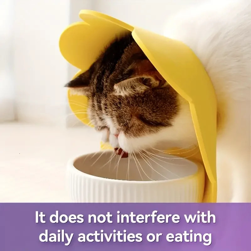 Pet Protective Collar Dog Neck Cone Recovery Cone Collar for Anti-Bite Lick Surgery Wound Healing Cat Dogs Health Circle 250731ww