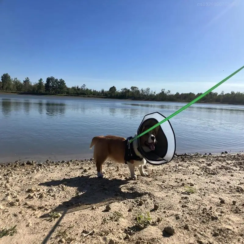 Light weight Dog Neck Cone Cats Elizabethan Collar Washable Pet Recovery Cones FB 250716