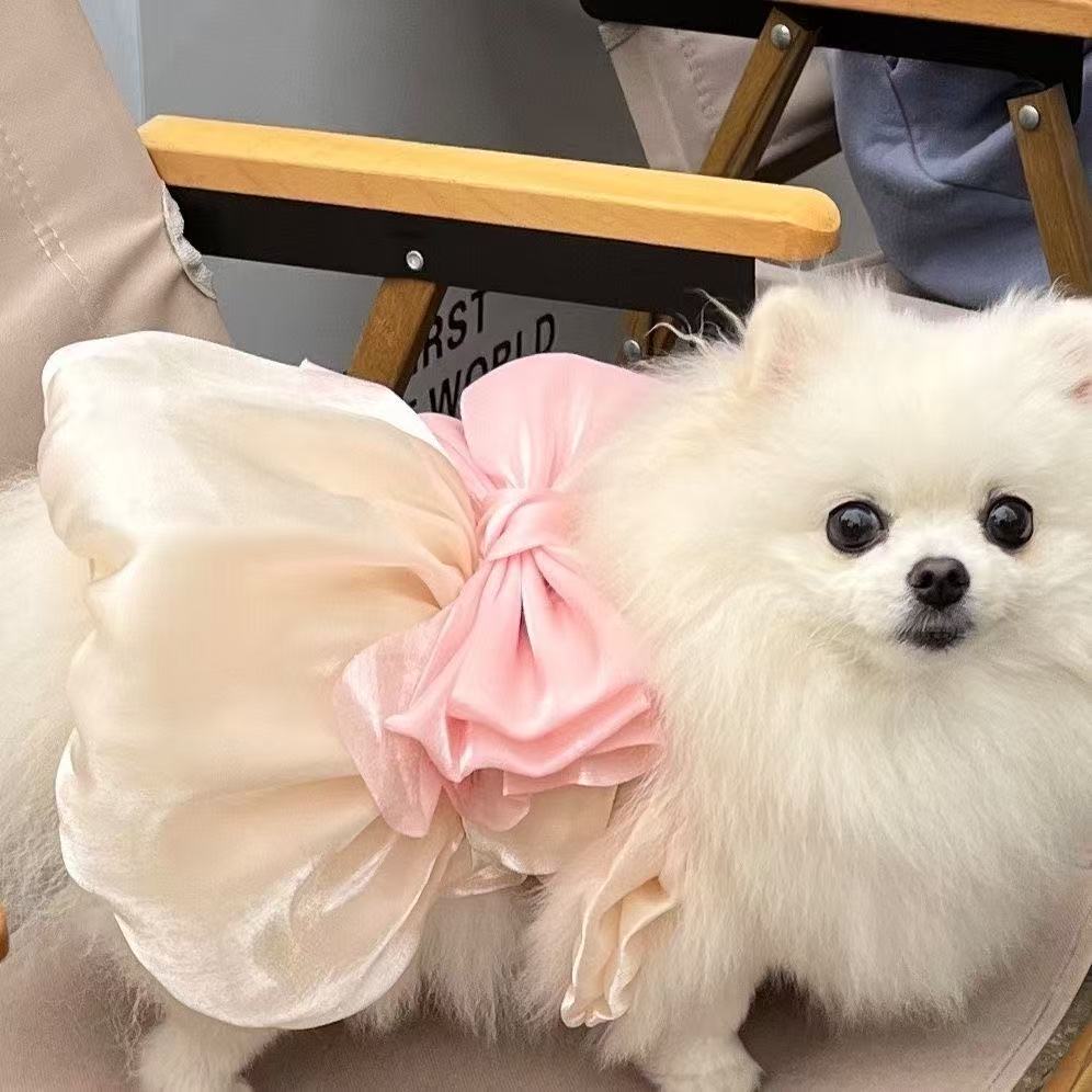 T805 Pet dress dress puppy dog Maltese autumn clothing handmade Teddy Bichon