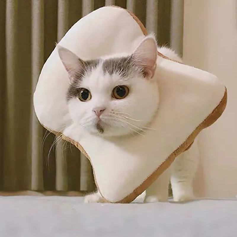 Soft Toast Avocado Shaped Cotton Pet Elizabethan Collar Dog Cat Adjustable Wound Healing Collar Prevent Bite Neck Ring For Pets 250716
