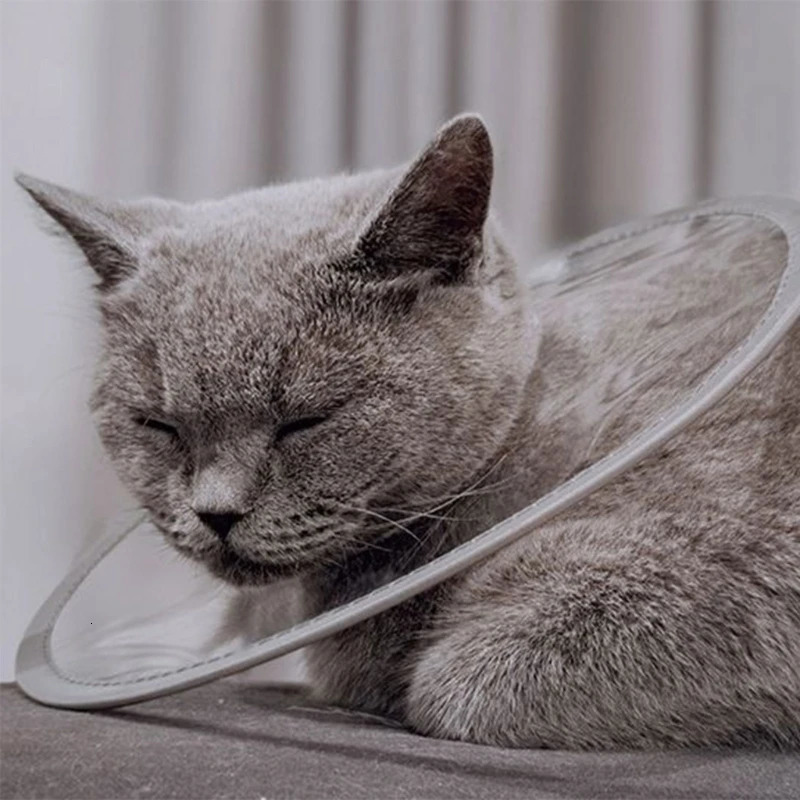 Comfortable Pet Recovery Clear Cone Collar Multiple Size Adjustable Recovery Collar Soft For Pet Dog Cats 250716