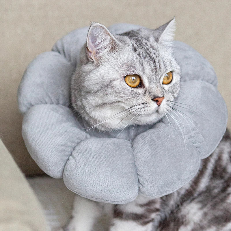 Sunflower Pet Elizabethan Collar Adjustable Anti-Bite Surgery Anti-Lick Wound Protective Collar Cotton Soft Adjustable 250716