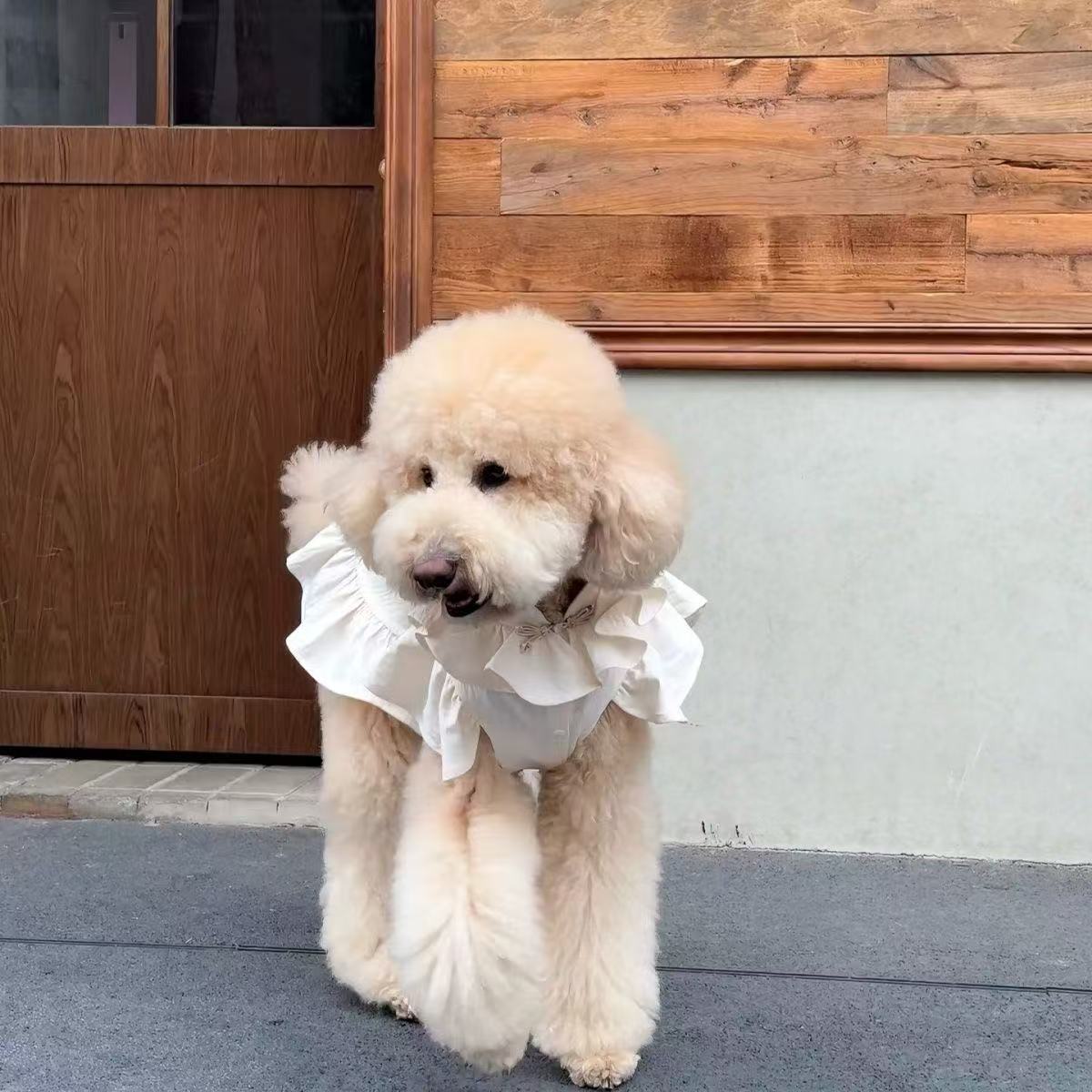 T802 Pet clothes spring and summer new streamer yarn princess dress Teddy Bichon dog cat thin sun protection traction dress