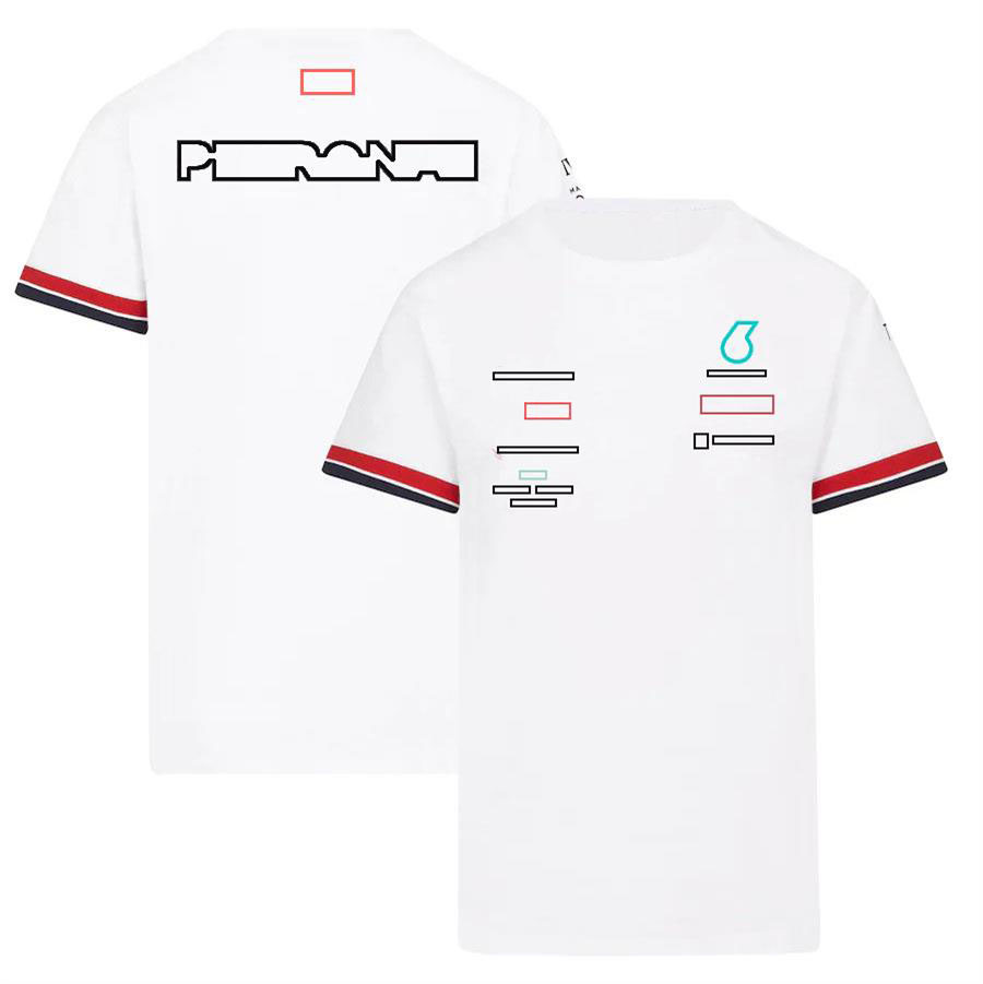2025 New T-Shirt Formula 1 Driver Polo T-shirt Custom F1 Team Fan Casual Oversized T Shirt Summer Quick Dry Short Sleeve free shipping