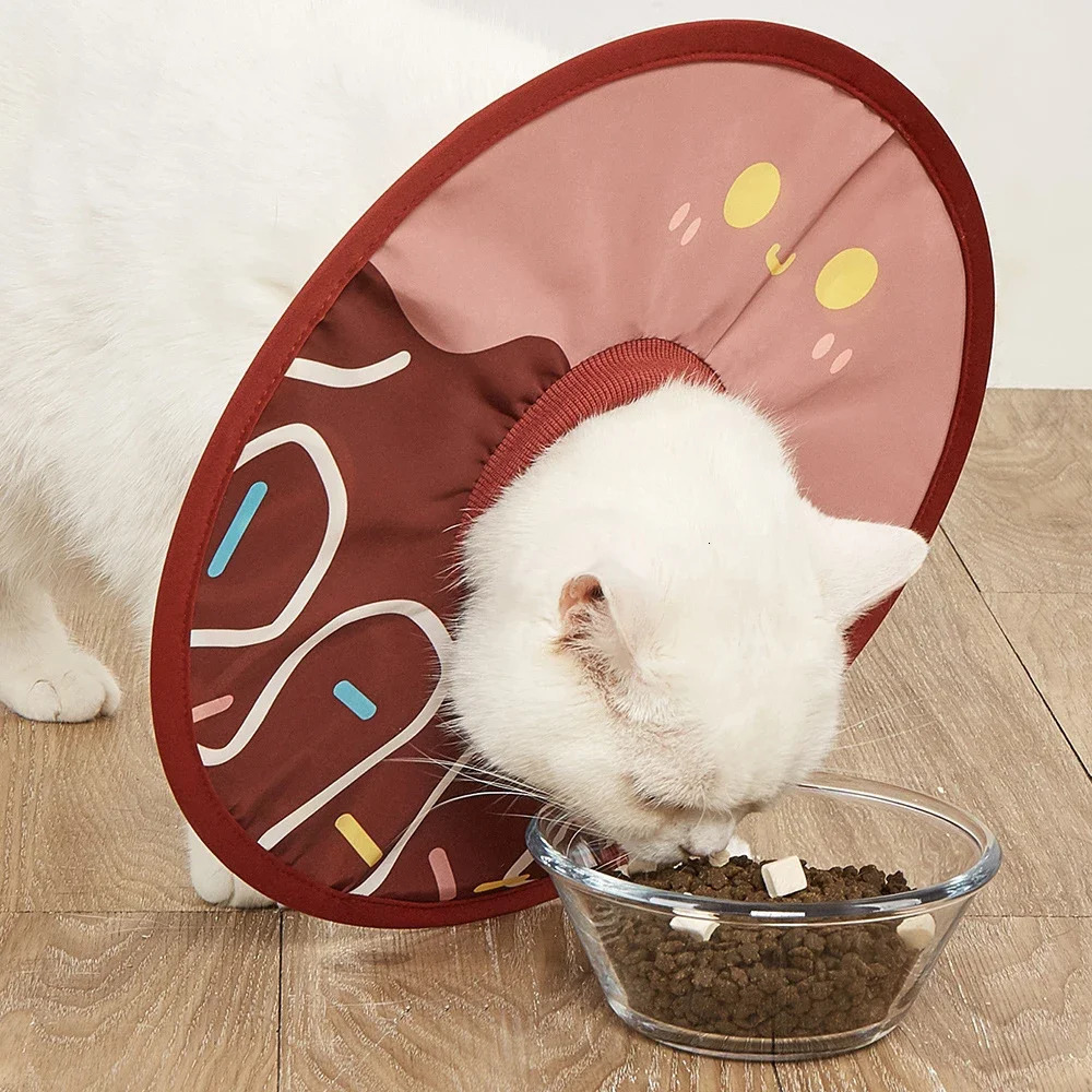 Pet Collar Anti Bite Anti Lick Wound Healing Protection Sunflower Shaped Cat Recovery Collar Elizabethan Collar 250716