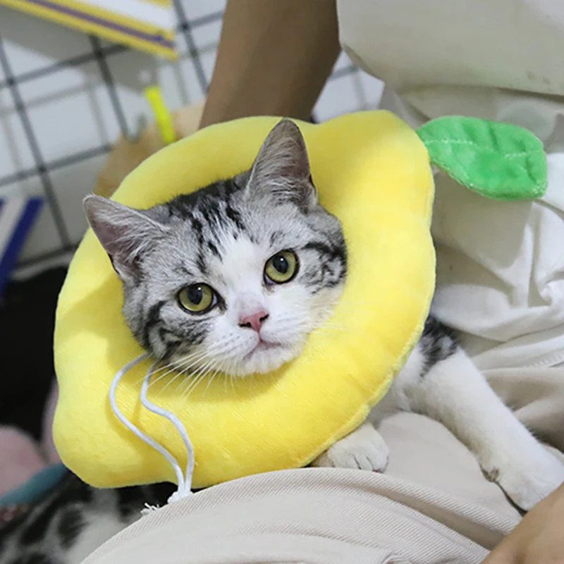 Soft Toast Avocado Shaped Cotton Pet Elizabethan Collar Dog Cat Adjustable Wound Healing Collar Prevent Bite Neck Ring For Pets 250716