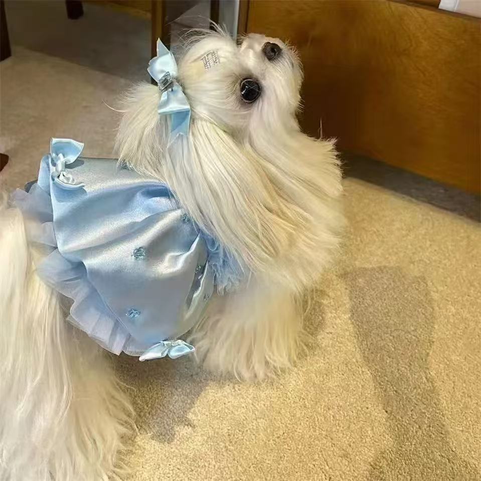 T803 Summer cool cute cake skirt dog clothes giant dress medium-sized dog border collie small dog Teddy Bichon