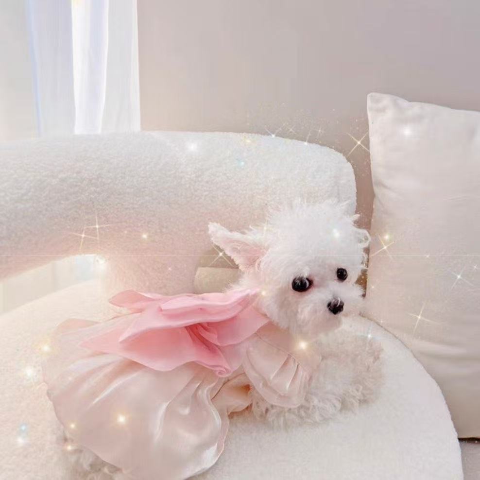 T805 Pet dress dress puppy dog Maltese autumn clothing handmade Teddy Bichon