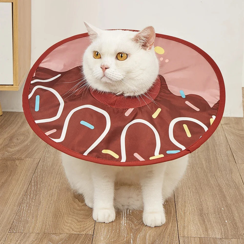 Pet Collar Anti Bite Anti Lick Wound Healing Protection Sunflower Shaped Cat Recovery Collar Elizabethan Collar 250716