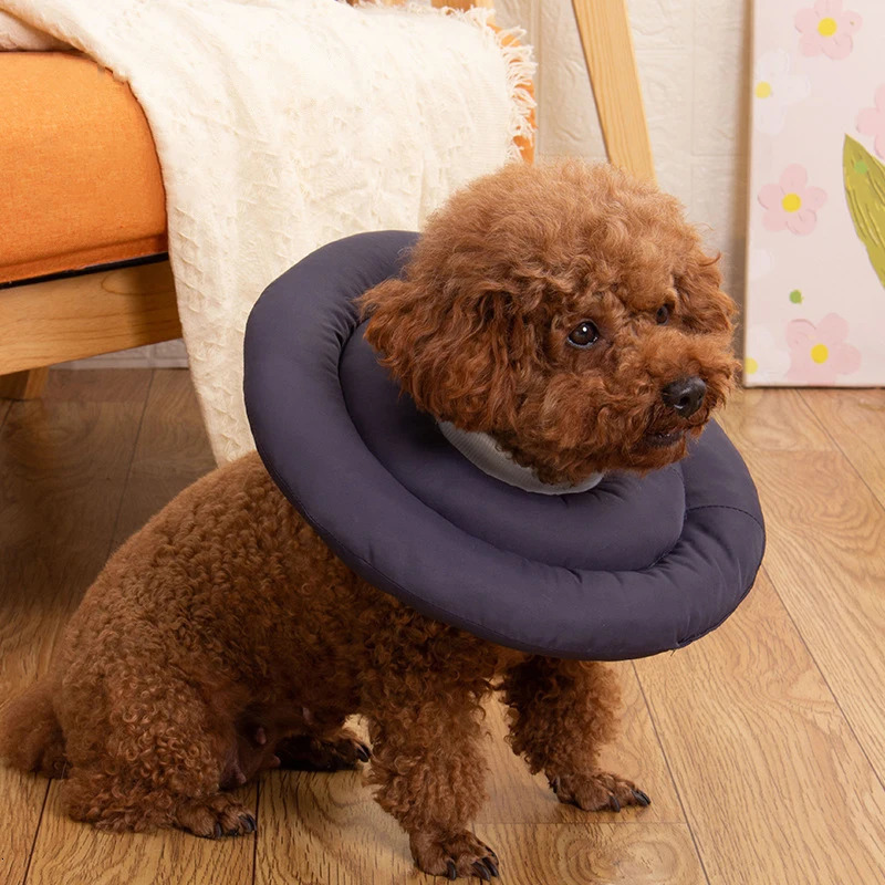 Pet Dog Cat Protection Collar Adjustable Elizabethan Collar Soft Ring Cat Dog Wound Healing Anti-Scratch Anti-Licking Headgear 250716