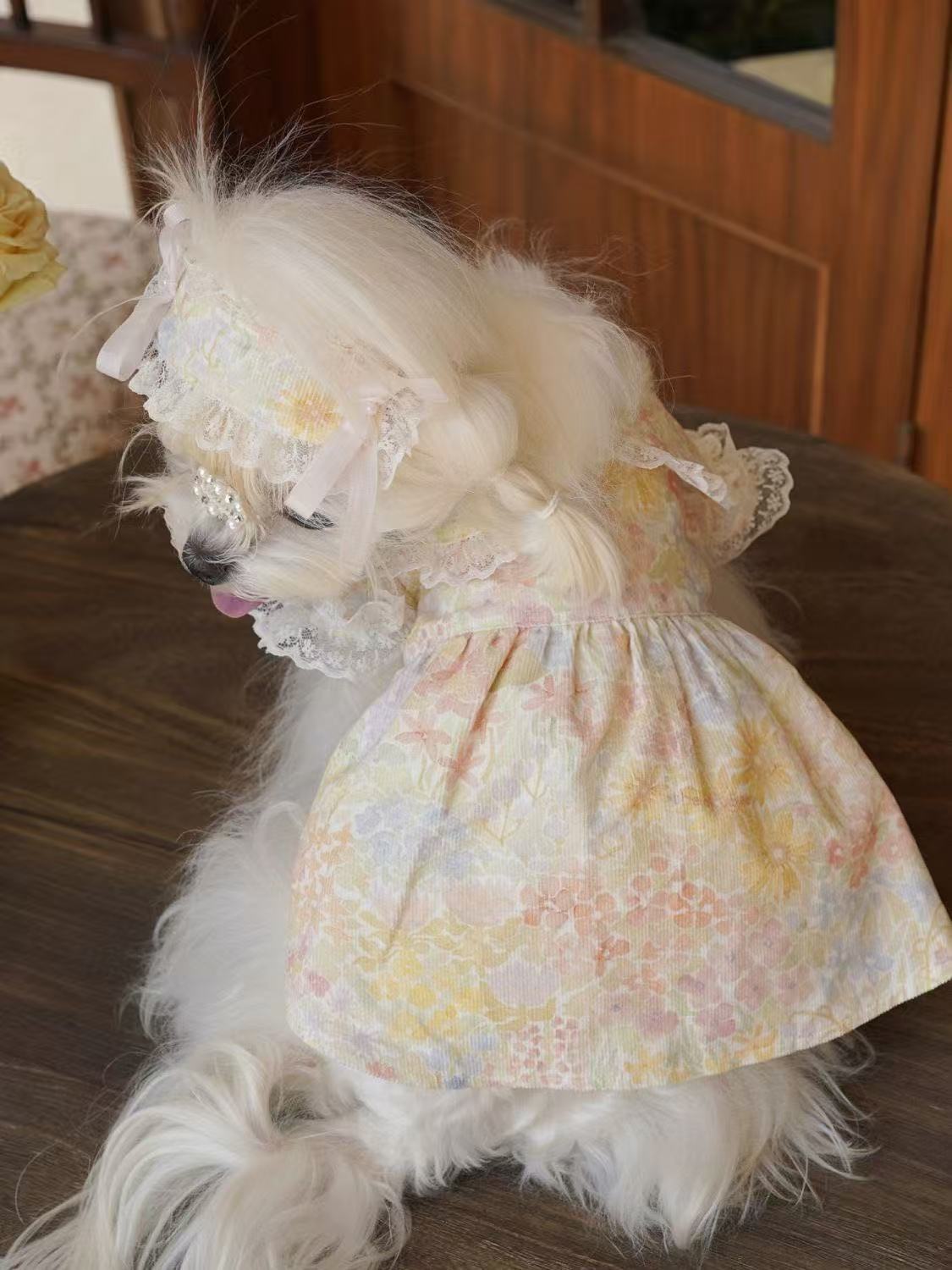 T809 Spring and summer dog cat princess dress doll collar lace skirt Western style small fragrance style skirt pet cute lady lace