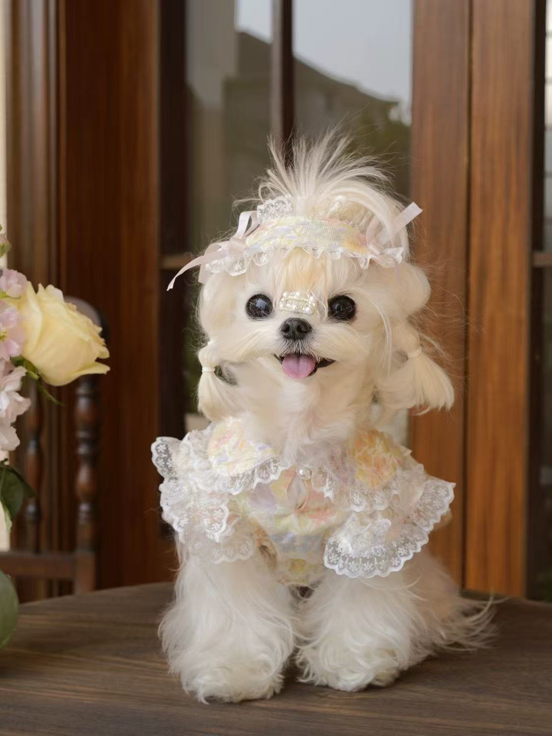 T809 Spring and summer dog cat princess dress doll collar lace skirt Western style small fragrance style skirt pet cute lady lace