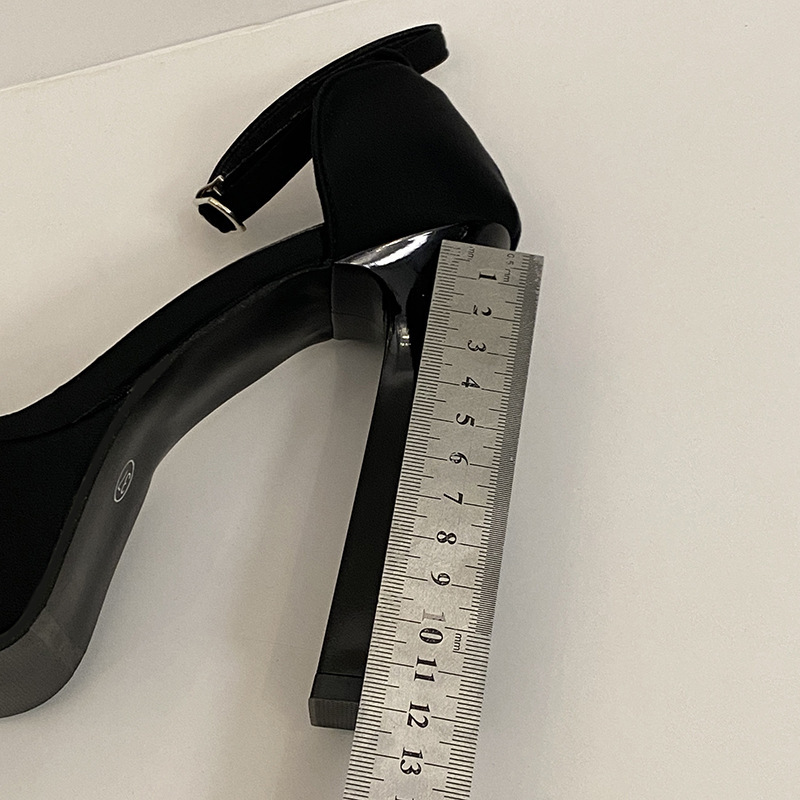 Ddmysports Casual One Strap For Women Sexy Nightclub Show Stage Chunky Heel Waterproof Platform High Heels Outdoor Shoes