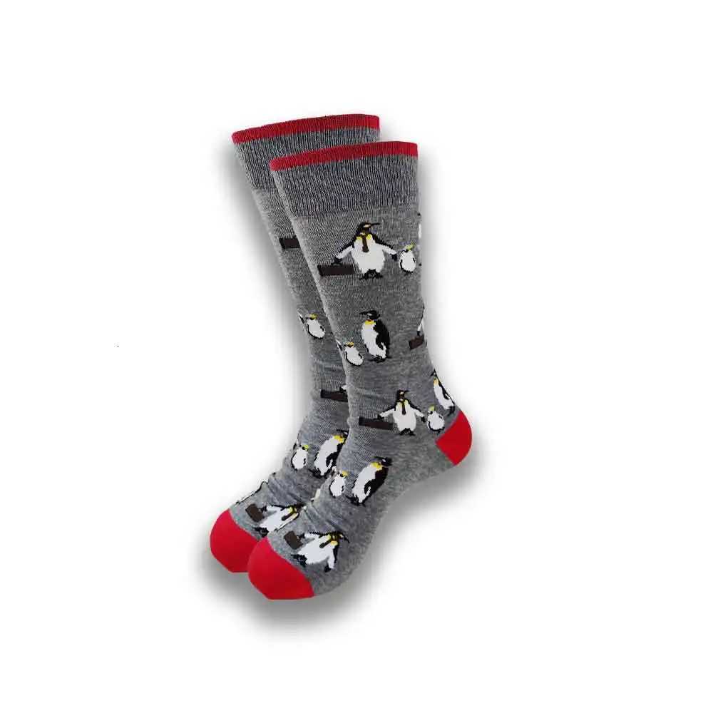 and retail fashion socks for men and women with all kinds of beautiful patterns mens socks. X250725