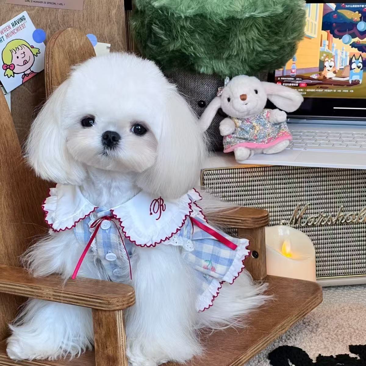 T804 Pet fluffy princess dress new dog cat two-legged dress pink sweet spring and summer dress