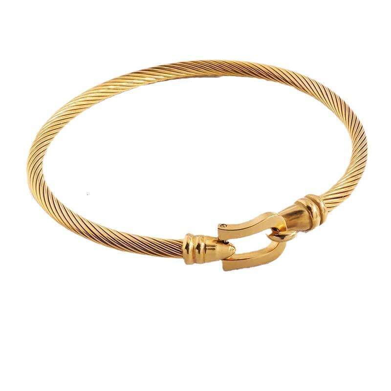 Stainless for Women High-End Feel Non-Fading Elastic Open Titanium Steel Bracelet with Horseshoe Hook ddmypluto