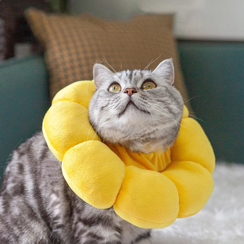 Sunflower Pet Elizabethan Collar Adjustable Anti-Bite Surgery Anti-Lick Wound Protective Collar Cotton Soft Adjustable 250716