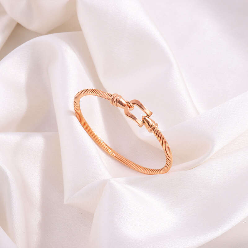 Stainless for Women High-End Feel Non-Fading Elastic Open Titanium Steel Bracelet with Horseshoe Hook ddmypluto