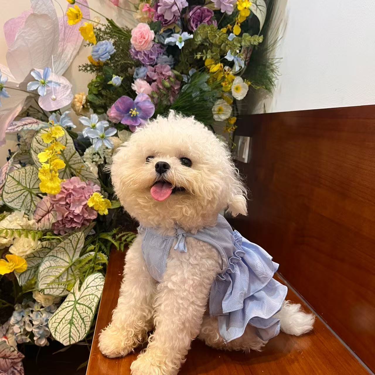 T864 Spring and summer new love sling Bichon Teddy dog cake skirt bow