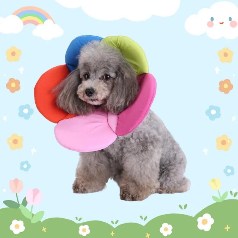 Cat Collar Pet Protective Collars for Dogs Cats Wound Healing Protection Elizabethan Collar Pet Cat Anti-bite Recovery Circle 250716