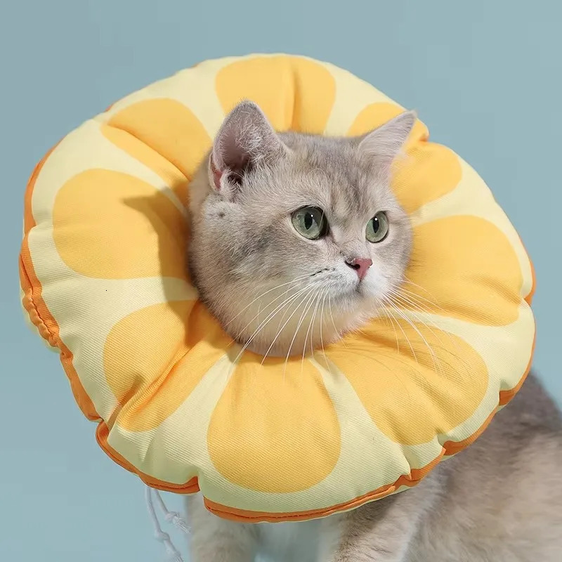 HOOPET Cat Elizabethan Collar Pet Neck Cone Soft Wearing Resistant Cat Accessories Cats Wound Healing Protective Collar for Cats 250716